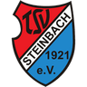 TSV Steinbach II