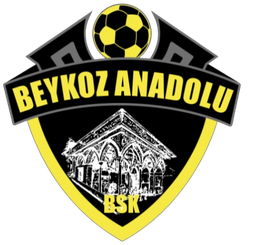 বেইকোজ আনাদোলু