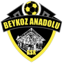 বেইকোজ আনাদোলু