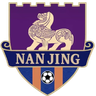 নানজিং দল