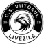 Vointa Livezile