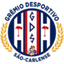 Sao carlense