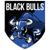 Banteng Hitam