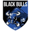 Banteng Hitam