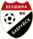 FC Belshina Babruisk