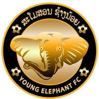 Young Elephant