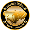 Young Elephant
