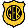 GE Bage