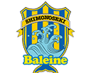 FC Baleine Shimonoseki