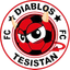 Diablos Tesistan FC