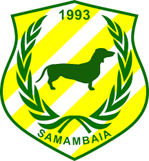 Samambaia