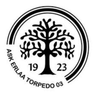 ASK Erlaa Torpedo 03