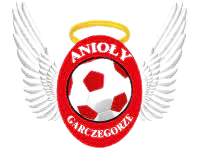 أنيولي غارتشيغورزي