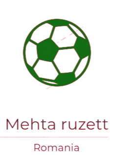 Mehta ruzett