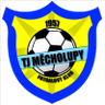 TJ Mecholupy