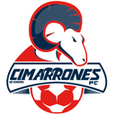 Cimarrones de Sonora