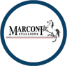 मारकोनी स्टैलियंस