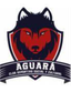 CDSC Aguara