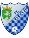 Flacara Falesti
