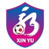 Xinyu Team
