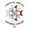 ক্যারোলাইন স্প্রিংস জর্জ ক্রস