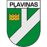 FK Plavinas DM
