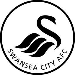 Swansea U18