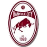 Banyule City (W)