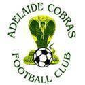 Adelaide Cobras