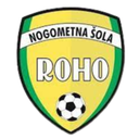 NS Roho Vbo