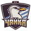 FK Chayka 2
