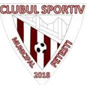 CSM Fetesti