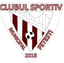 CSM Fetesti