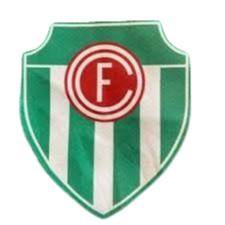 BG Green Farmers FC