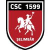 ACS Viitorul Selimbar