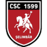 ACS Viitorul Selimbar