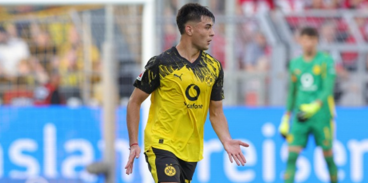 বিশেষজ্ঞ: চেলসিকে অ্যানসেলমিনোকে তাড়াতাড়ি ফিরিয়ে আনার পরামর্শ দেওয়া হয় না, তাকে ডর্টমুন্ডে ধৈর্যশীলভাবে উন্নতি করতে দিন