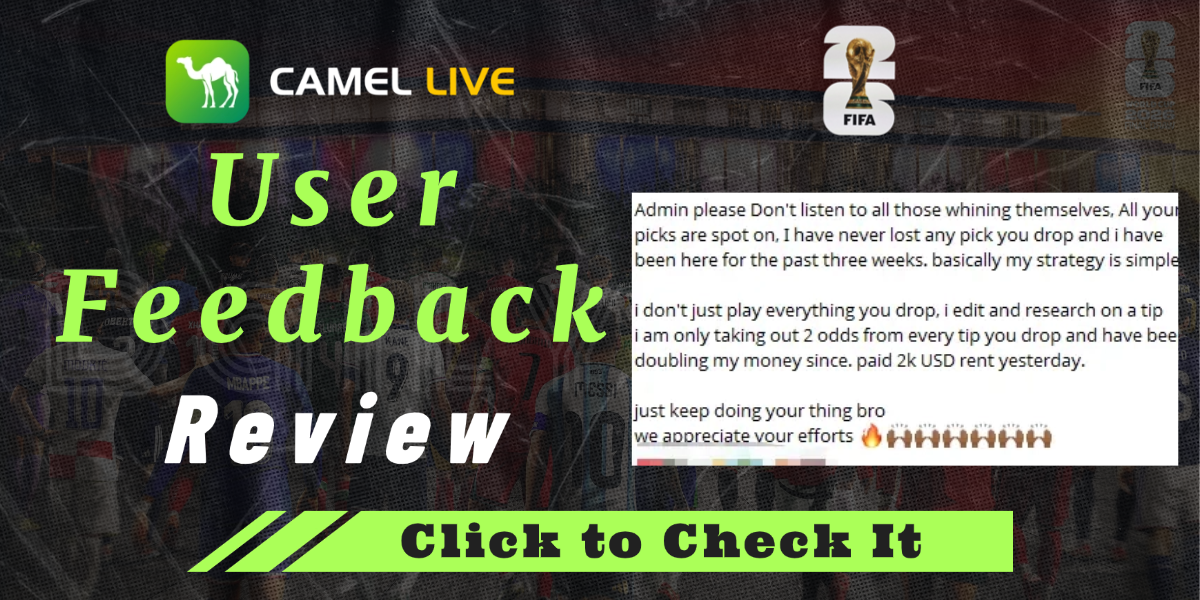 Don’t Miss Out: Real User Reviews of Our Daily Picks